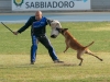 DSC00219