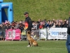 FMBB WM 2017 (126 von 284)