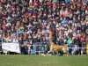 FMBB WM 2017 (128 von 284)