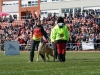 FMBB WM 2017 (134 von 284)