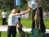 foto16.jpg