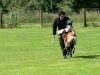 foto9.jpg