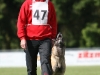 Championat (43)