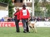 Championat (44)