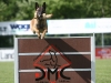 Championat (46)