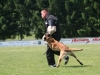 Championat (51)