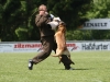 Championat (54)
