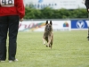 Championat (56)