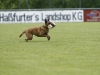 Championat (58)