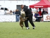 Championat (63)