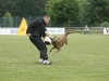 Championat (64)