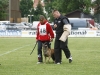 Championat (65)