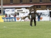 Championat (66)