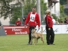 Championat (80)