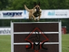 Championat (81)