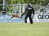 Championat (86)