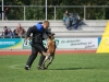 foto30.jpg