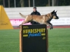 foto46.jpg
