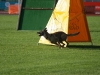 foto82.jpg