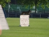 foto10.jpg