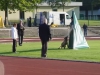 foto4.jpg