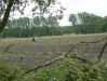 foto2.jpg