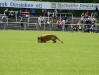 foto7.jpg