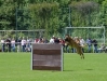 foto8.jpg
