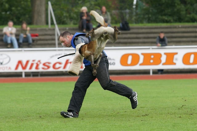 fci_2011untitled33%20(22).JPG