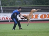 fci_2011untitled33 (10)
