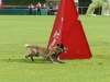 fci_2011untitled33 (15)