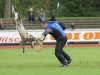 fci_2011untitled33 (21)