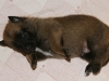 SONY DSC