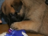 SONY DSC