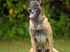 FOTO_KOBOLD_DSC78473