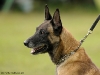 FOTO_KOBOLD_DSC788015