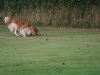 20090829_7621