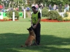 DSC00960