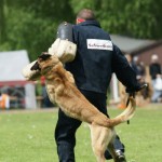 foto82_bendix
