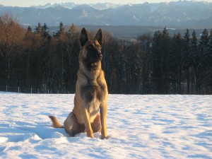 IMG_2997 IMG_2997