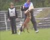 championat06_2