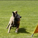 championat_2009_knabl_1
