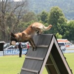 championat_2009_knabl_2