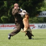 championat_2009_scherk_2