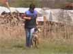 gipsy_1