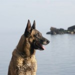 finnland_11