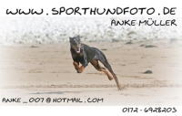 www.sporthundfoto.de