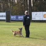 DHV Sichtung für 2010 - DEA