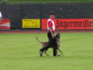vdh_dm09_bendix_adlerauge