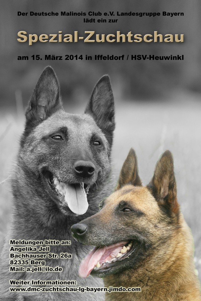DMC-Schau-plakat